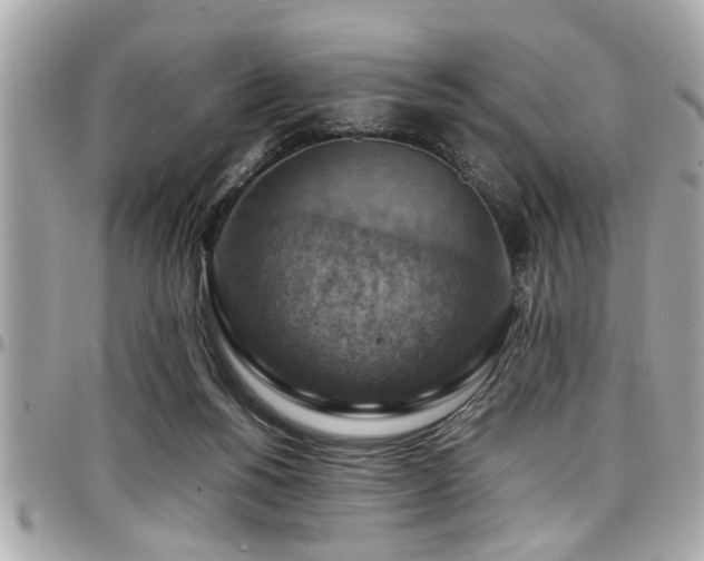 X0000098000168200803241350
