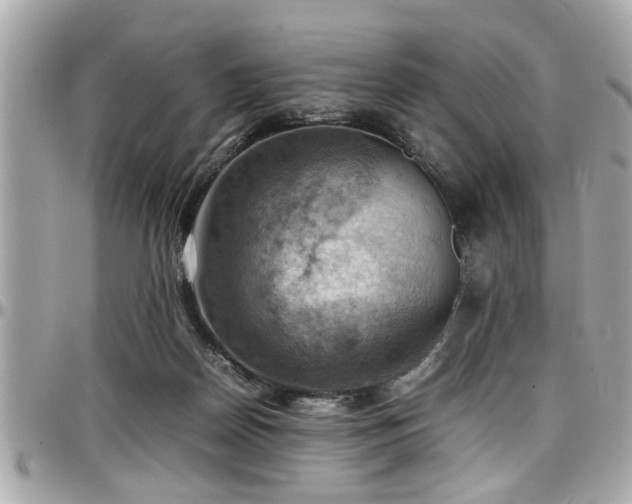 X0000098000170200803241350