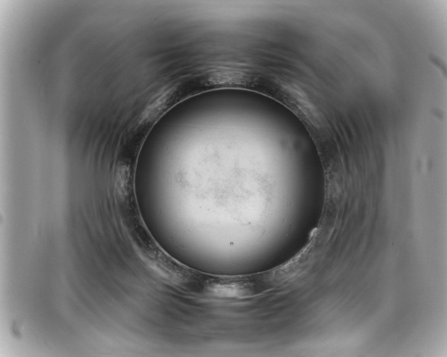 X0000098000171200803241350