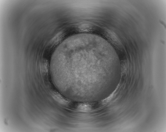 X0000098000174200803241350