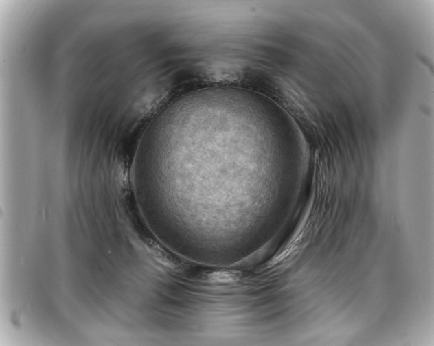 X0000098000176200803241350