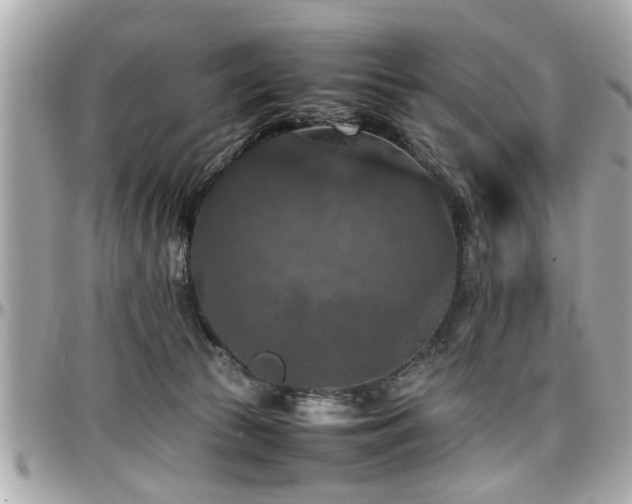 X0000098000177200803241350