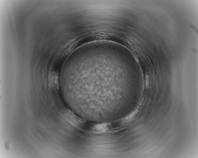 X0000098000178200803241350