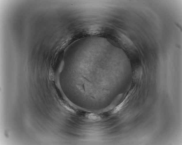 X0000098000180200803241350