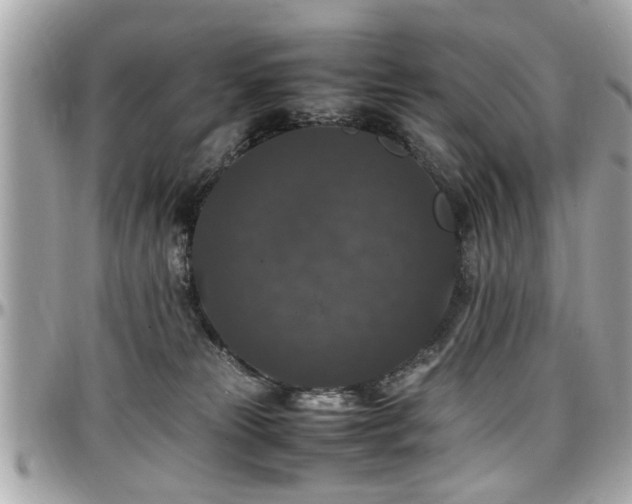 X0000098000181200803241350