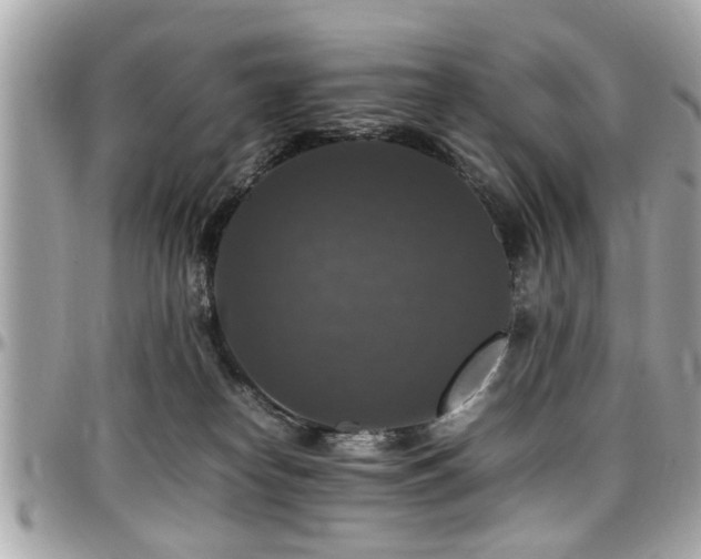 X0000098000182200803241350
