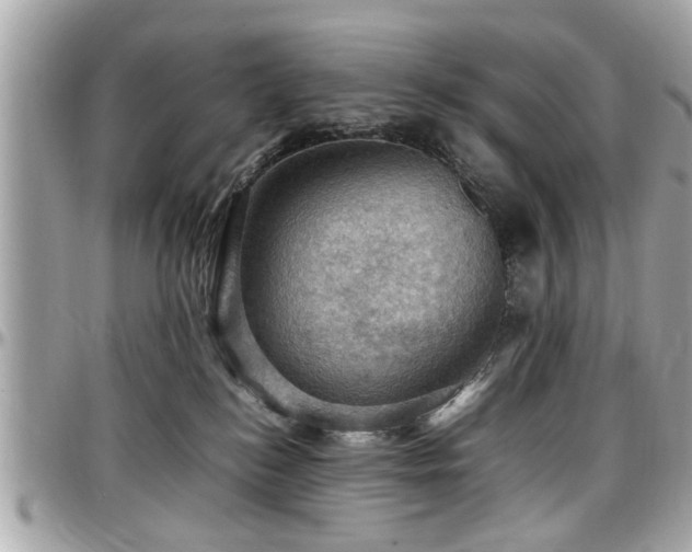 X0000098000184200803241350
