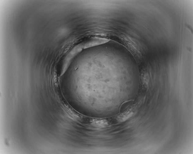 X0000098000185200803241350