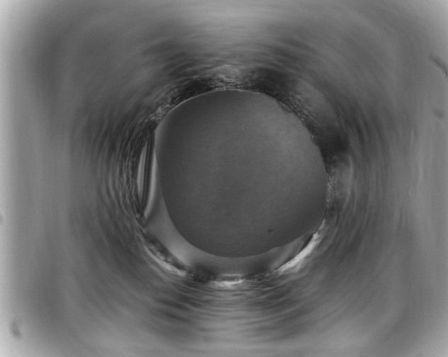 X0000098000186200803241350