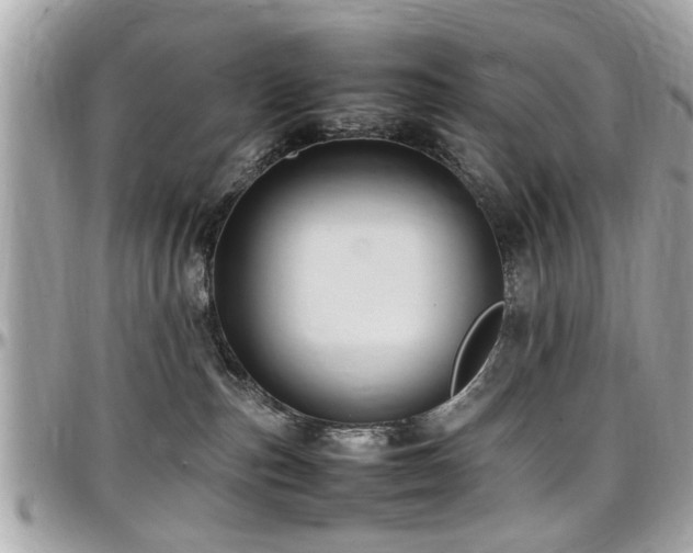 X0000098000187200803241350