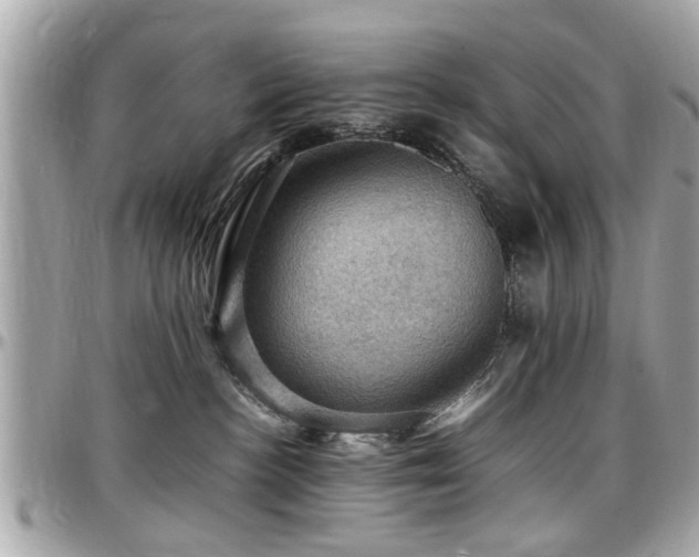X0000098000188200803241350