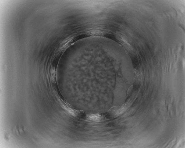 X0000098000189200803241350