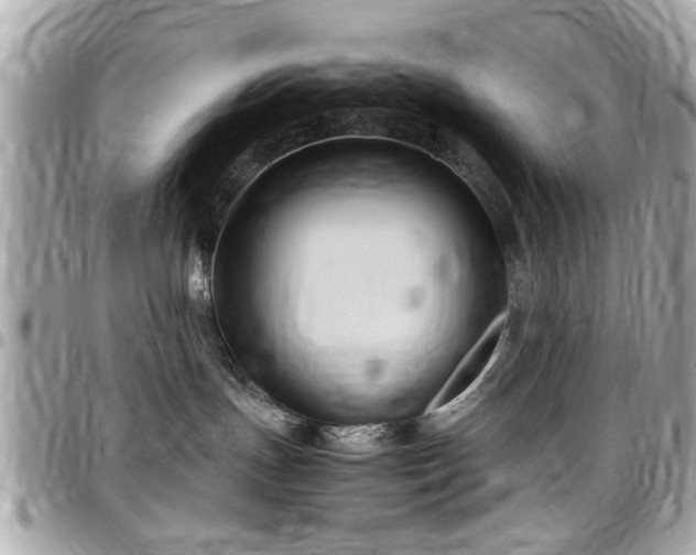 X0000098000191200803241350