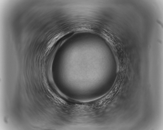 X0000098000193200803241349