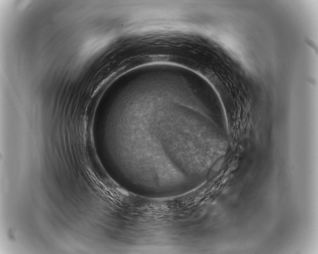 X0000098000194200803241349