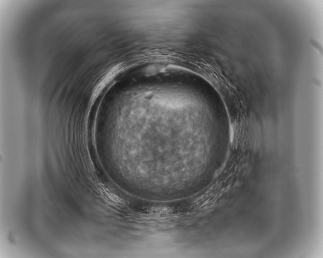 X0000098000195200803241349