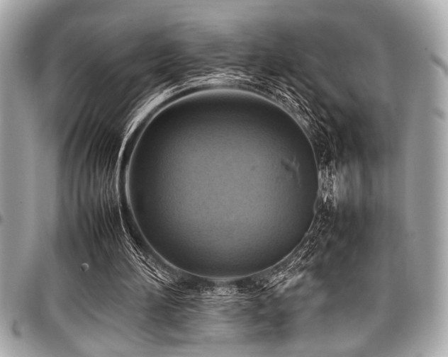 X0000098000196200803241349