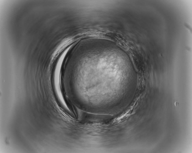 X0000098000197200803241349