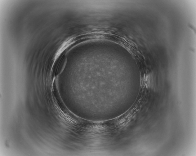 X0000098000198200803241349