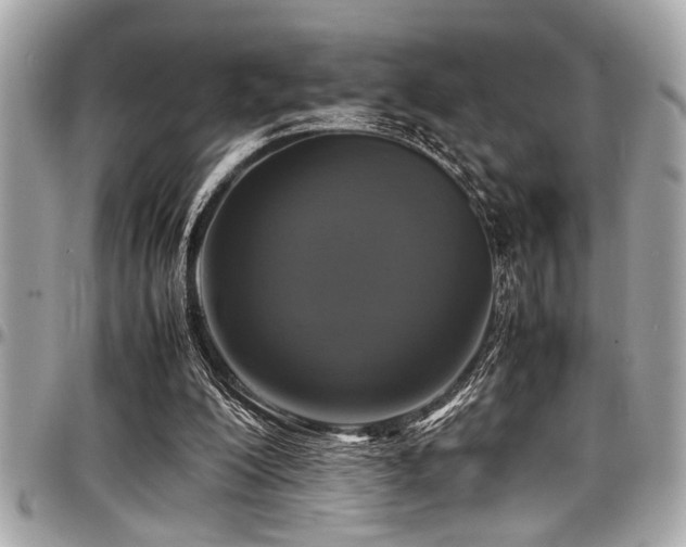 X0000098000200200803241349