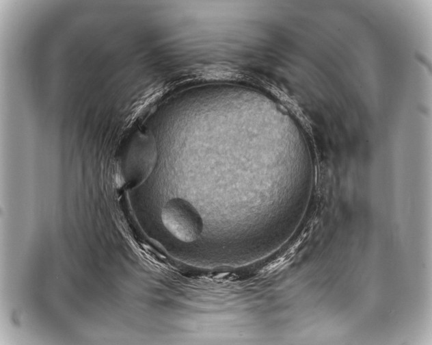 X0000098000201200803241349