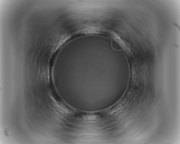 X0000098000202200803241349