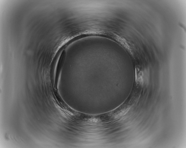 X0000098000204200803241349