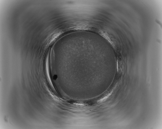X0000098000205200803241349