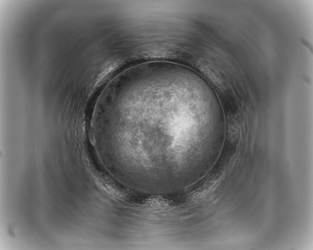 X0000098000207200803241349