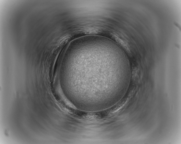 X0000098000209200803241349
