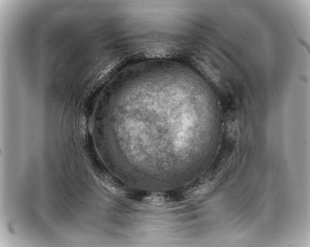 X0000098000211200803241349