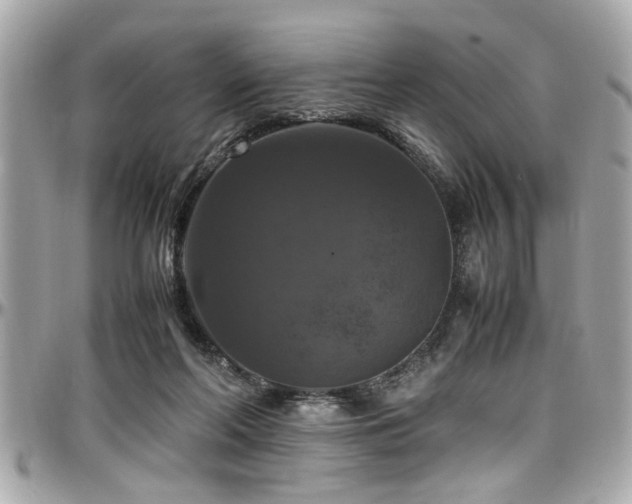 X0000098000214200803241349