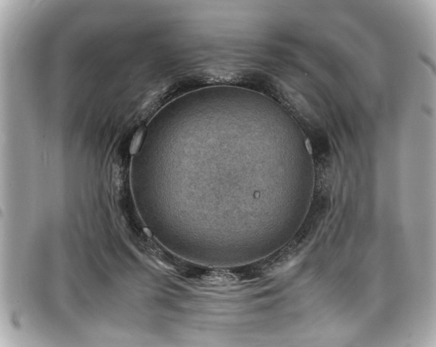 X0000098000215200803241349