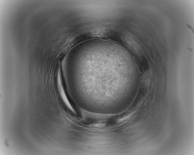 X0000098000217200803241349