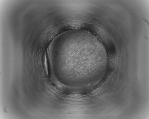 X0000098000221200803241349