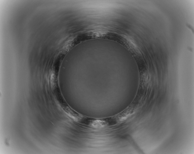 X0000098000222200803241349