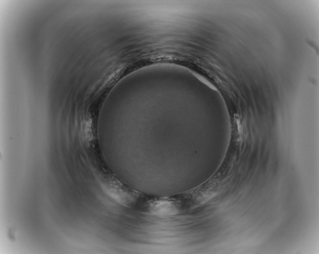 X0000098000224200803241349