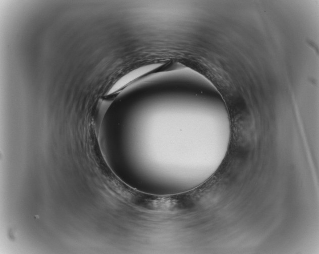 X0000098000225200803241349