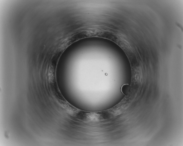 X0000098000226200803241349