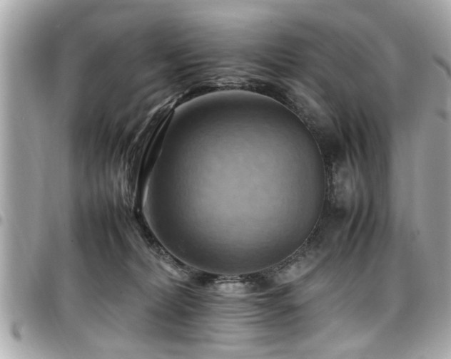 X0000098000228200803241349