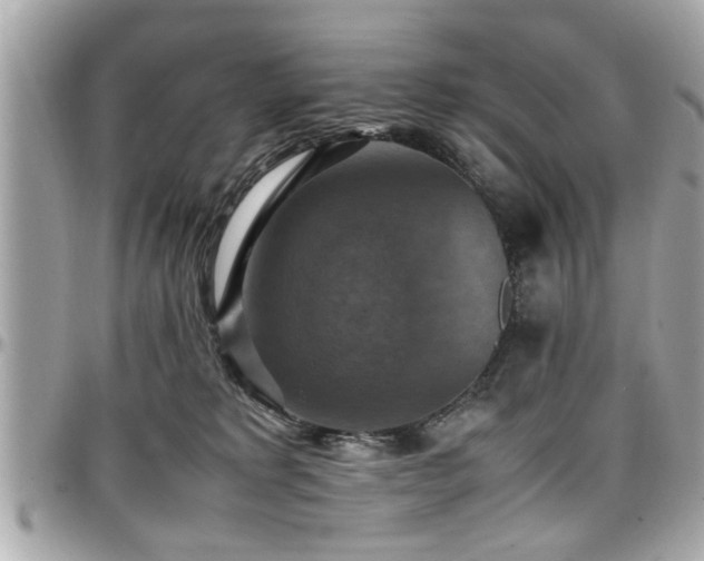 X0000098000229200803241349