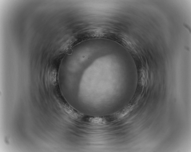 X0000098000230200803241349