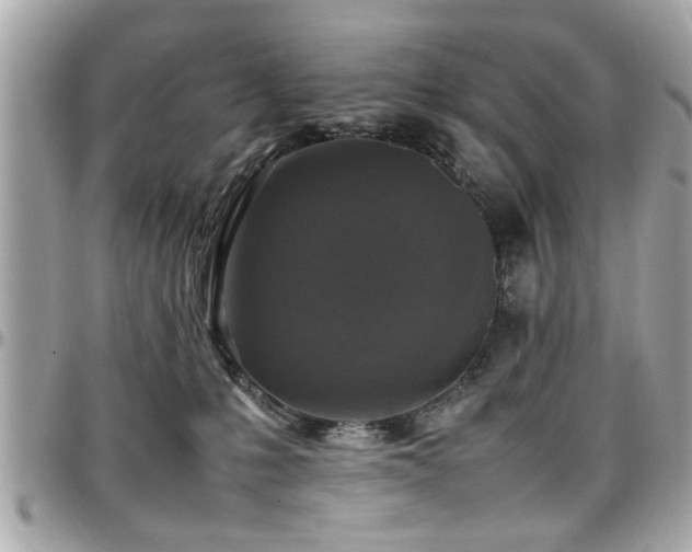X0000098000231200803241349
