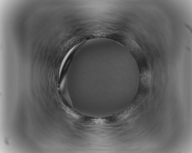 X0000098000233200803241349