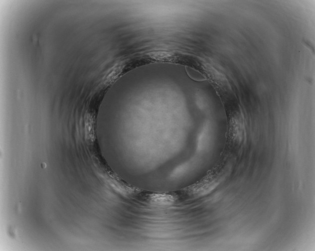 X0000098000234200803241349