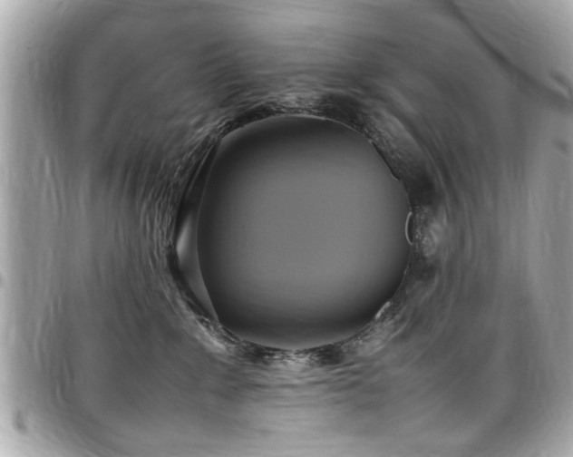 X0000098000235200803241349