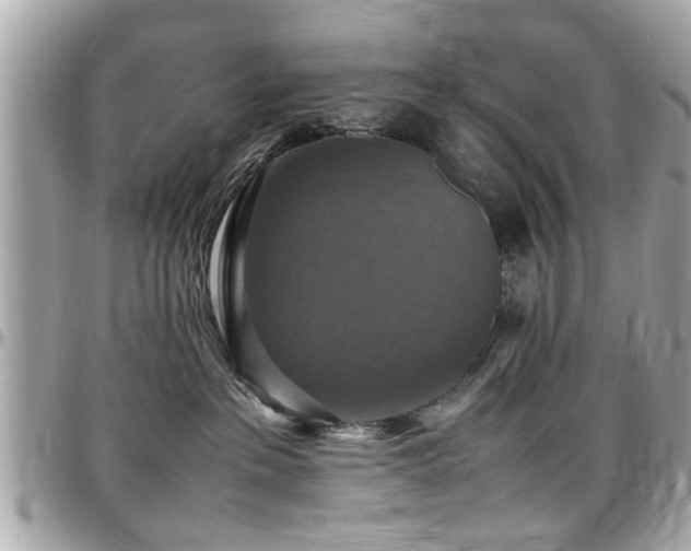 X0000098000237200803241349
