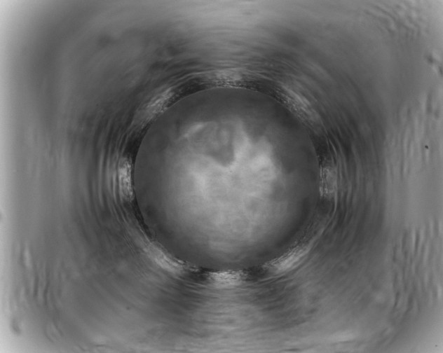 X0000098000238200803241349