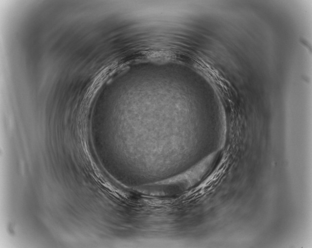 X0000098000241200803241348