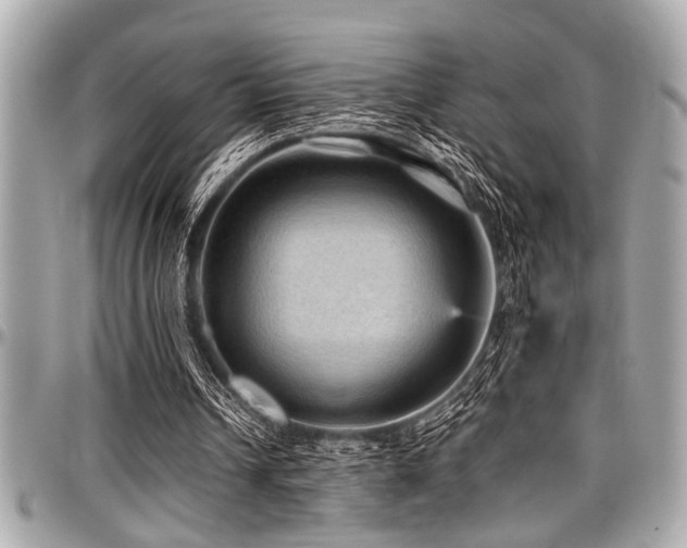 X0000098000242200803241348